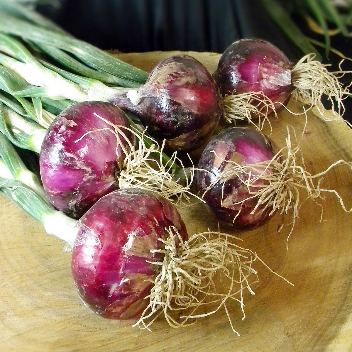 Chempak Organic Onion Garlic Leek Fertiliser Granular
