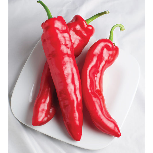 Dolce Rojo F1 Hybrid Corno Di Toro Type Pepper