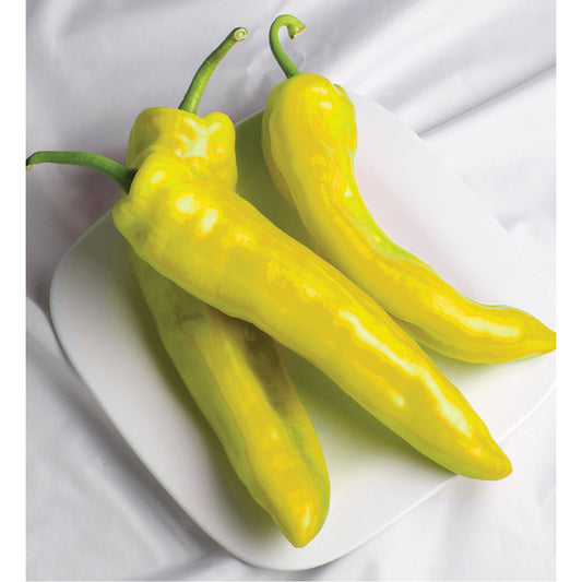 Golden Horn F1 Hybrid Corno Di Toro Type Pepper