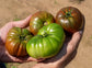Mocha F1 Hybrid Indeterminate Heritage Tomato