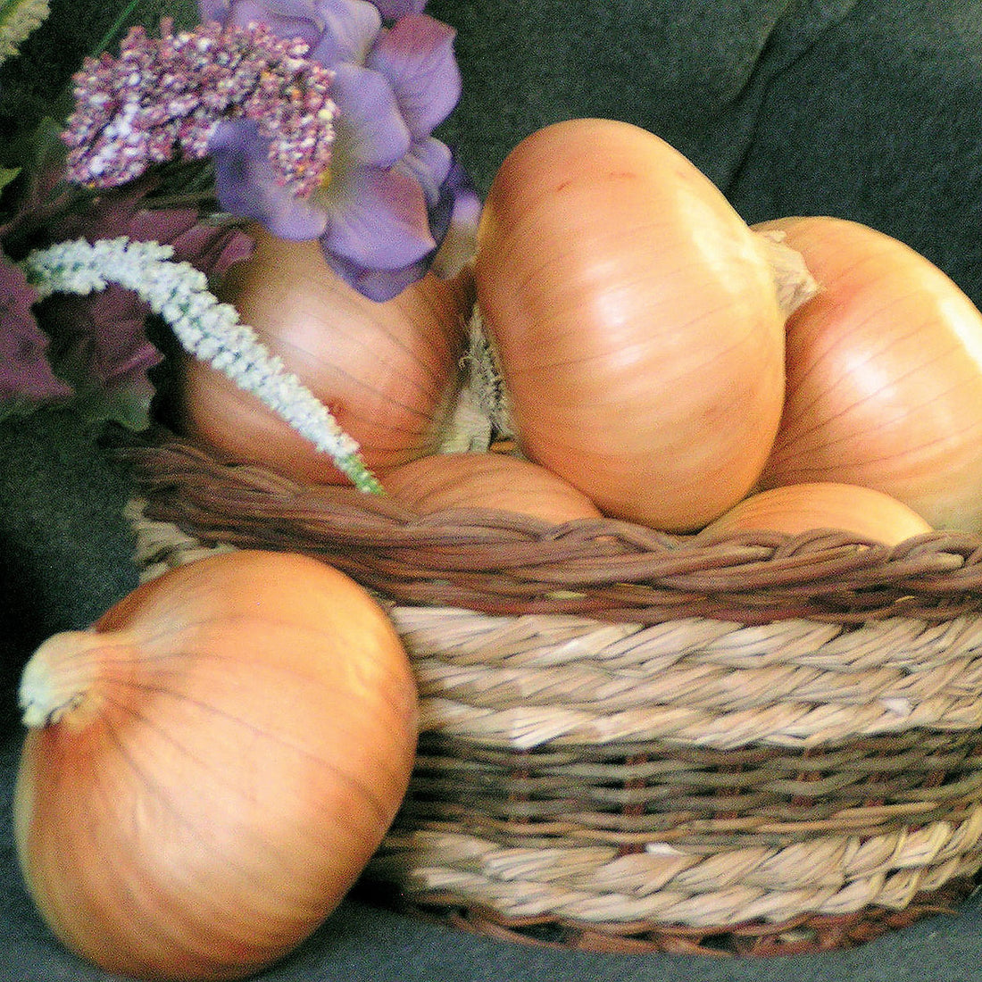 Sapelo Sweet F1 Hybrid Short Day Yellow Sweet Granex Onion DPSEEDS