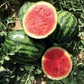 Mini Mike F1 Hybrid Diploid Red Flesh Watermelon