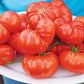 Grandma's Pick F1 Hybrid Indeterminate Heritage Tomato
