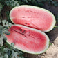Plantation Pride F1 Hybrid Diploid Red Flesh Watermelon