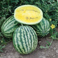 Lemon Krush F1 Hybrid Diploid Non-Traditional Flesh Watermelon