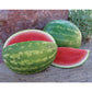 Sweet Eat'n F1 Hybrid Triploid Red Flesh Watermelon